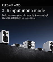 Load image into Gallery viewer, SMSL PA200 Power Amplifier