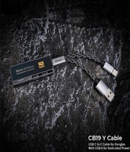 Load image into Gallery viewer, iBasso CB19 Small Tail Upgrade Audio Adapter Cable