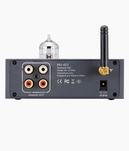 Load image into Gallery viewer, xDuoo MU603